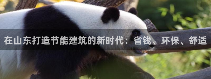 e尊电竞：在山东打造节能建筑的新时代：省钱、环保、舒适