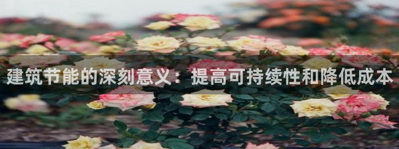 e尊国际平台：建筑节能的深刻意义：提高可持续性和降低成本