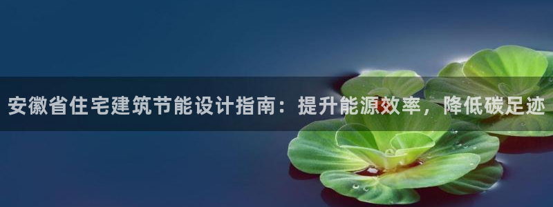 e尊国际-e尊国际官网：安徽省住宅建筑节能设计指南：提升能源效率，降低碳足迹