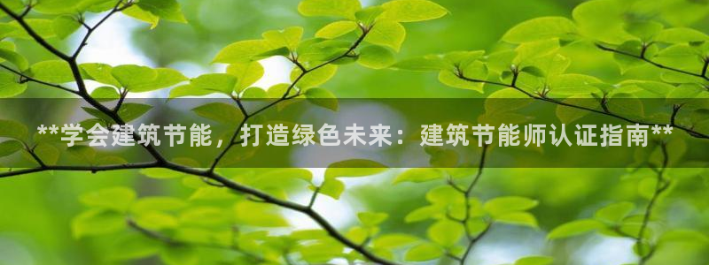 e尊国际地址：**学会建筑节能，打造绿色未来：建筑节能师认证指南**