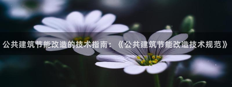 e尊国际客服：公共建筑节能改造的技术指南：《公共建筑节能改造技术规范》