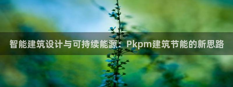尊亿游戏国际官网：智能建筑设计与可持续能源：Pkpm建筑节能的新思路