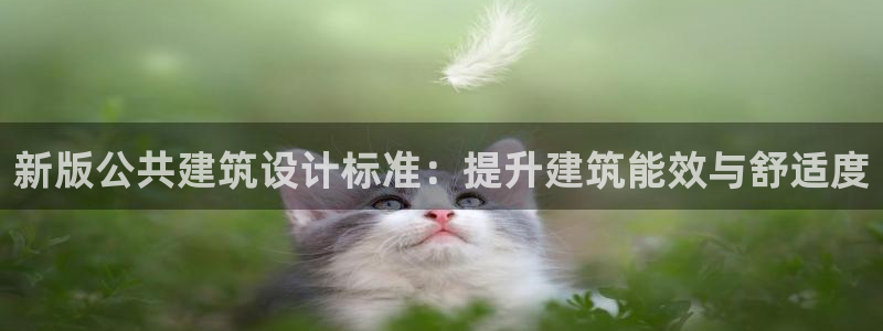 e尊国际官方网站：新版公共建筑设计标准：提升建筑能效与舒适度
