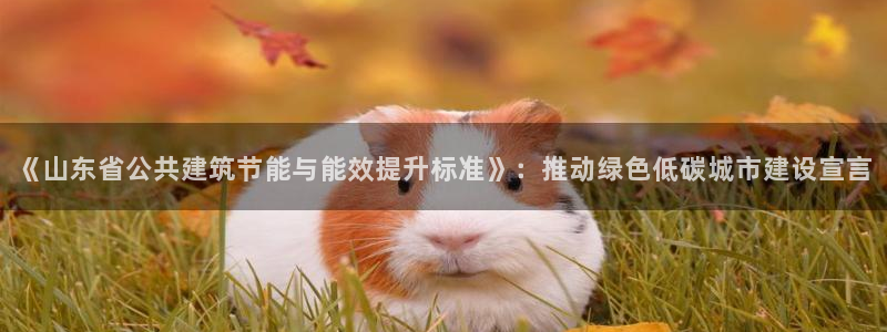 e尊国际官网·网址：《山东省公共建筑节能与能效提升标准》：推动绿色低碳城市建设宣言