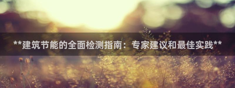 谁知道e尊国际的网址：**建筑节能的全面检测指南：专家建议和最佳实践**