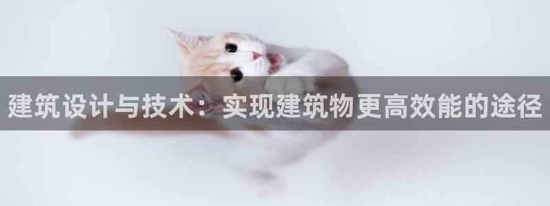 E尊国际：建筑设计与技术：实现建筑物更高效能的途径
