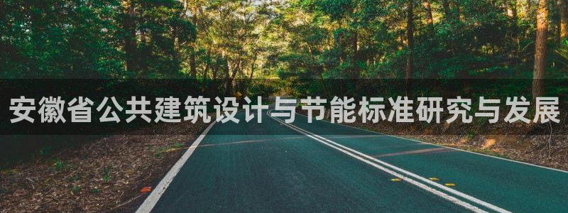 谁知道e尊国际的网址：安徽省公共建筑设计与节能标准研究与发展