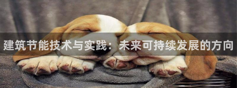 e尊国际app：建筑节能技术与实践：未来可持续发展的方向