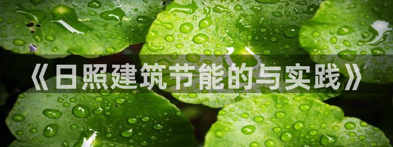 e尊国际客服：《日照建筑节能的与实践》