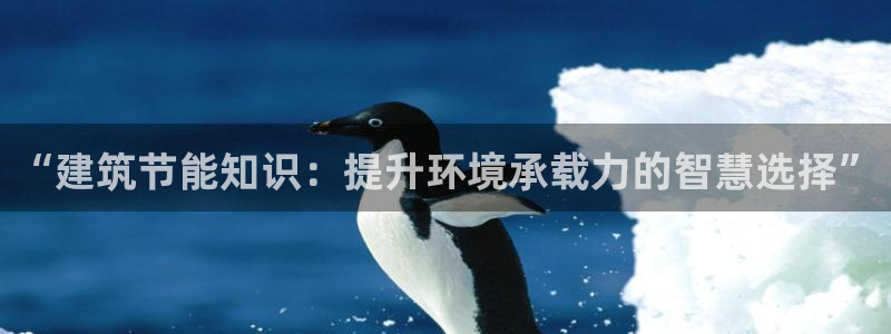 E尊国际：“建筑节能知识：提升环境承载力的智慧选择”