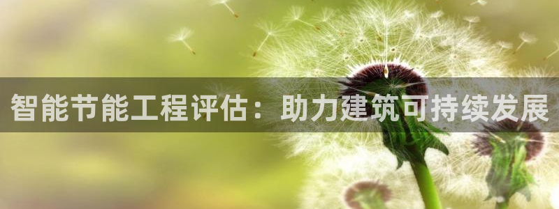 e尊国际娱乐官网下载：智能节能工程评估：助力建筑可持续发展