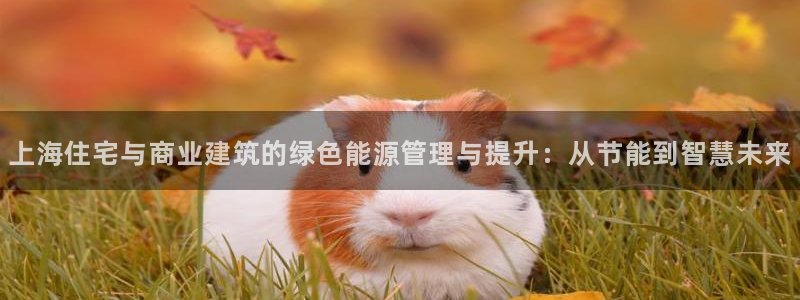 e尊国际是个黑网：上海住宅与商业建筑的绿色能源管理与提升：从节能到智慧未来