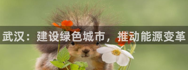 e尊国际官网app：武汉：建设绿色城市，推动能源变革