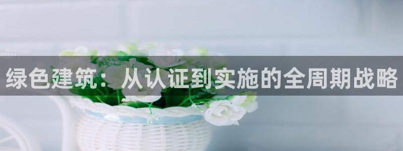 e尊国际是干什么的：绿色建筑：从认证到实施的全周期战略