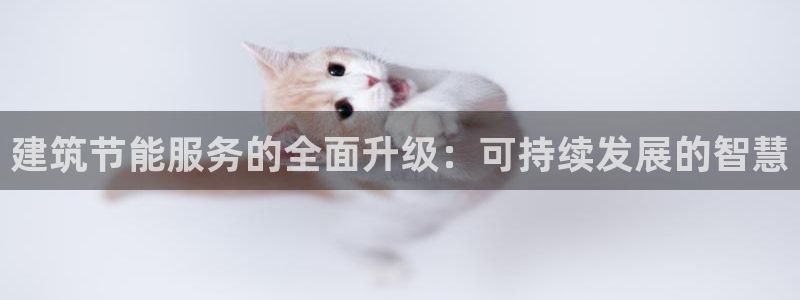 e尊国际地址：建筑节能服务的全面升级：可持续发展的智慧