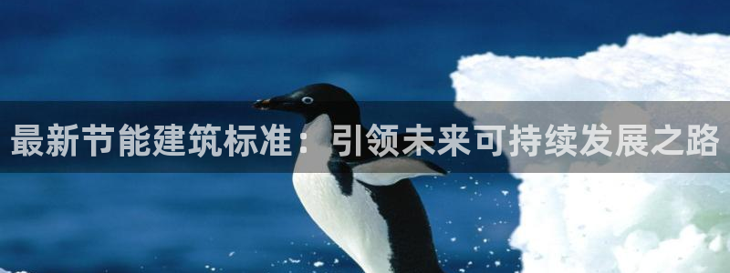 e尊国际-e尊国际官网