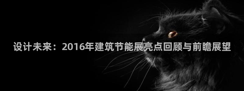 谁知道e尊国际的网址：设计未来：2016年建筑节能展亮点回顾与前瞻展望